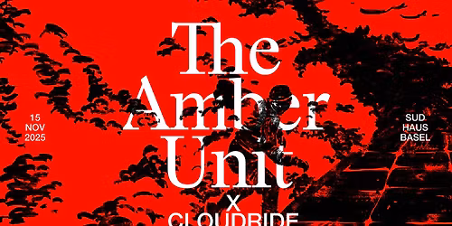 THE AMBER UNIT - PLATTENTAUFE