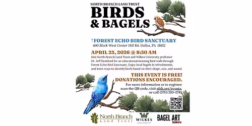Birds & Bagels