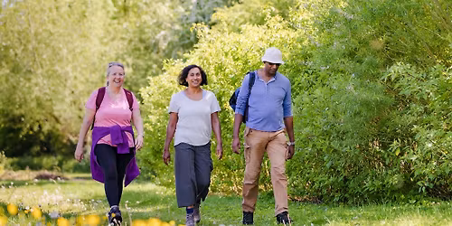 MK Walking Festival