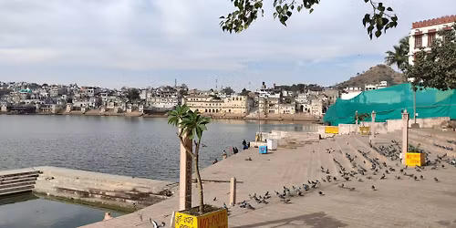 Farbenfrohe Rajasthan Rundreise mit Narada, 19.1.-8.2.2026