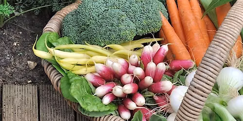 Fall Gardening & Seed Starting Workshop - Carrboro