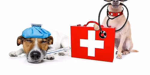 Pet Tech CPR & First Aid Training