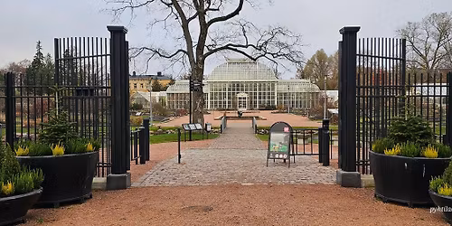 Joulugl\u00f6git ja kranssipajat 2025