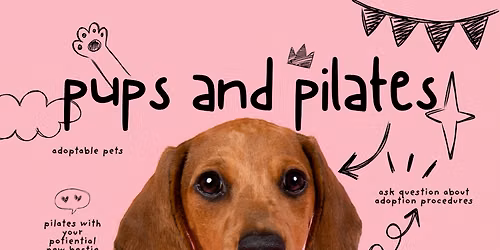 Pups & Pilates Presented By WaggyTails Rescue and The Sixth Borough Collective