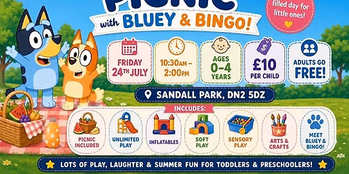 Bluey &bingo summer picnic