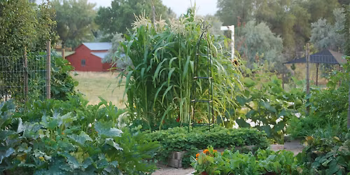 Waterwise Vegetable Gardening