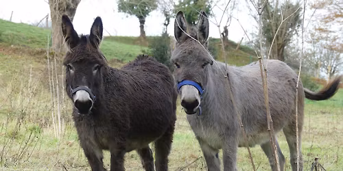 D\u00e9couverte du Bois du Val Jouan