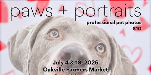 pets + portraits