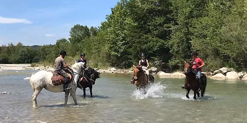 Randonn\u00e9e \u00e0 cheval d'une journ\u00e9e avec pause baignade 