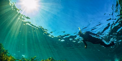 Splash into Science: Snorkel Tours at Spring Lake