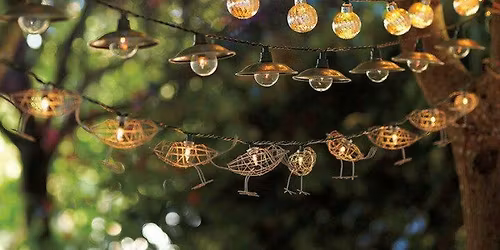 12 \u00c5rs Jubil\u00e6um i Skoven \u2013 Morgensang, B\u00e5lmad & Pladerelease