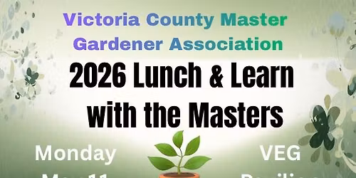 Lunch & Learn with the Masters