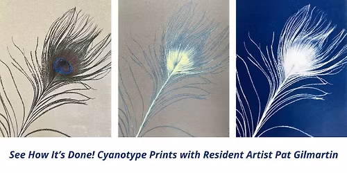 See How It\u2019s Done! Cyanotype Prints with Resident Artist Pat Gilmartin