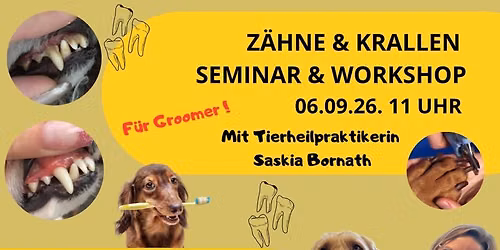 Z\u00e4hne & Krallen Seminar mit Saskia Bornath