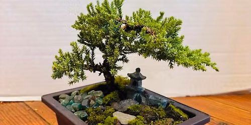 Third Thursday Bonsai Workshop 