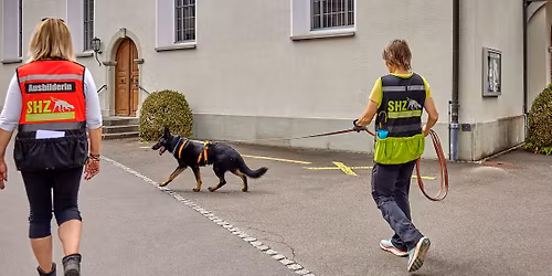 Trail the Trainer \u201eEndlich steht dein Hund im Mittelpunkt\u201c