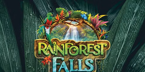 Rainforest Falls VBS