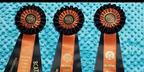 Galveston County Kennel Club Hosting the Last All Breed FastCat for 2025