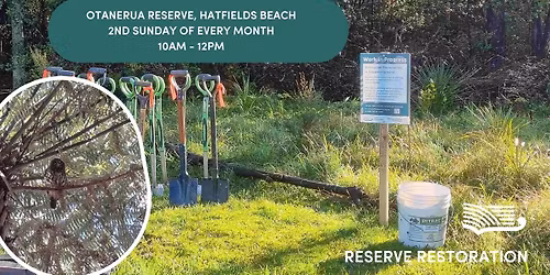 \u014ctanerua Reserve, Hatfields Beach - Volunteer Restoration Group