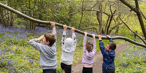 JANE'S WALK 29: Weans Walk Wild in Wellies in Wivenhoe Woods. 