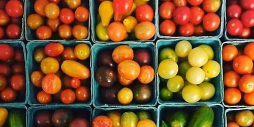 New Ulm Farmers Market