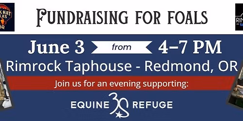 Fundraising for Foals