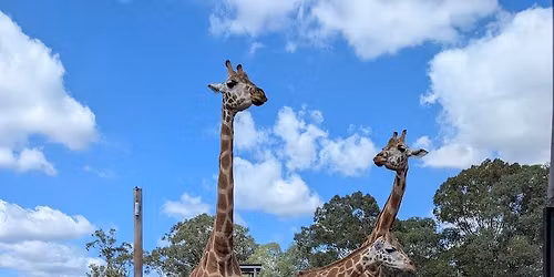 Homeschoolers visit to Hunter Valley Wildlife Park