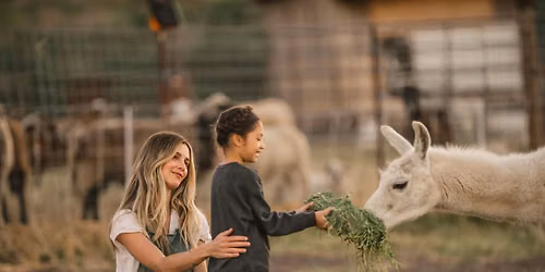 Community Llama & Goat Farm Open House