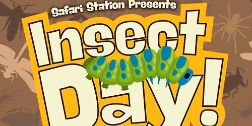 Insect Day
