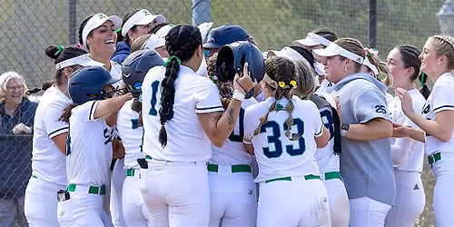 Endicott Softball Prospect Clinic