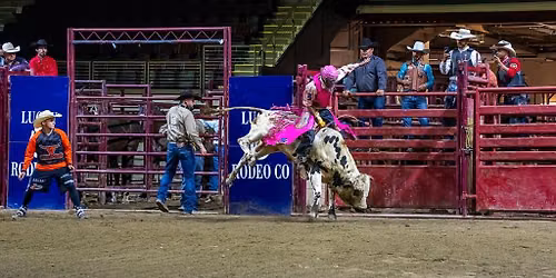 Bulls n' Broncs