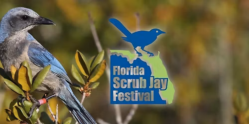 Florida Scrub Jay Festival 2026
