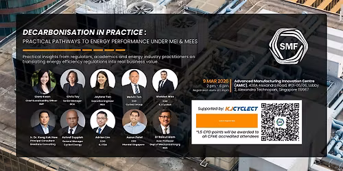 Decarbonisation in Practice: Practical Pathways to Energy Perf. (MEI\/MEES)