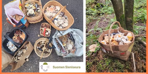 Sieniretki oppaan kanssa 26.9.2026