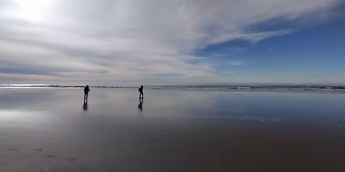 Christchurch 360 Trail Guide Walk - Dunes Wetland