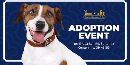Adoption Event at Dayton Humane & Co.