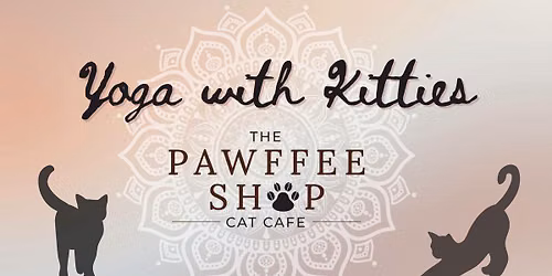 YOGA With Kitties!