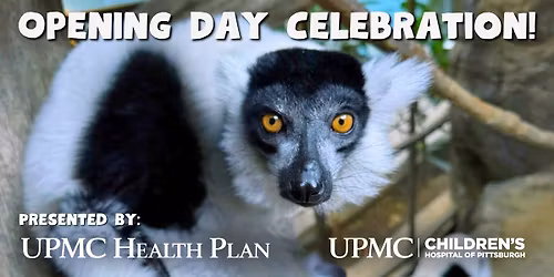 Opening Day Celebration