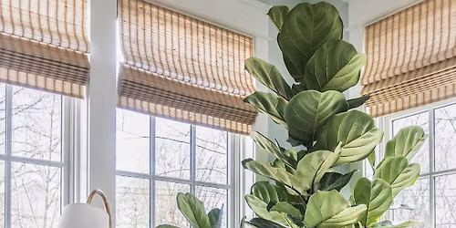 Design Q&A: Pop Up at Botanologica