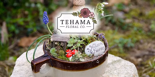 Beginning Floristry: Fairy Garden Workshop (Tehama Campus)
