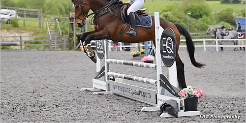 PYECOMBE UNAFFILIATED JUMPING SHOW with Cricklands & Sunshine Tour qualifiers