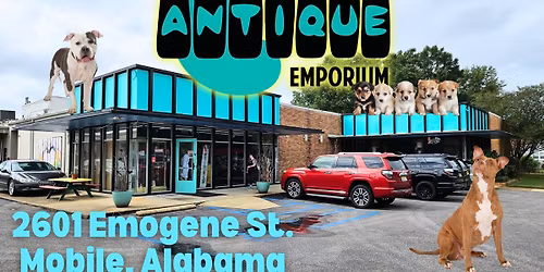 Small Business Saturday! Sip, Shop, and ADOPT!!!!