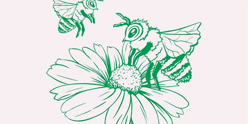 A Whole Lot of Buzz: Planning & Care for Pollinator Gardens