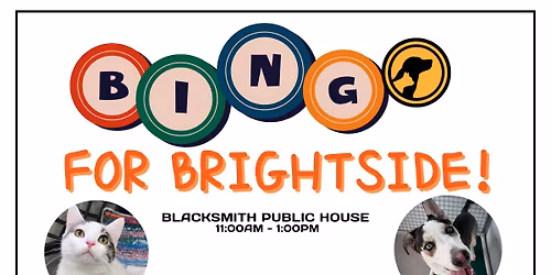 BINGO For BrightSide Animal Center 