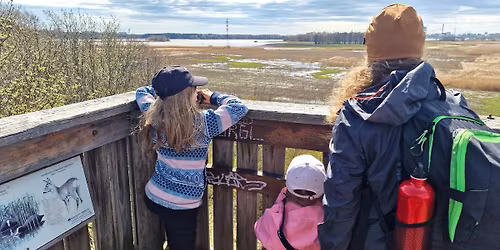 \u00c4itienp\u00e4iv\u00e4retki Viikin arboretumiin ja lintupaikoille