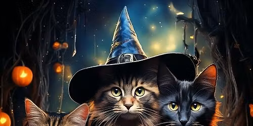 Purranormal Activity 2025 Cat Show