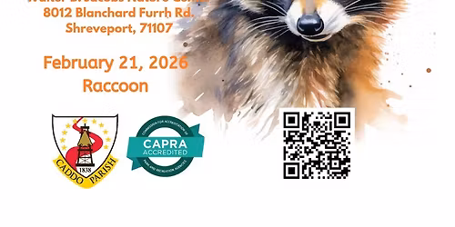 An Introduction to Acrylic Painting-Raccoon