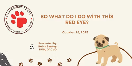MCVMA October Meeting: So What Do I Do With This Red Eye?