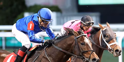 Churchill Downs Racing: The Clark
