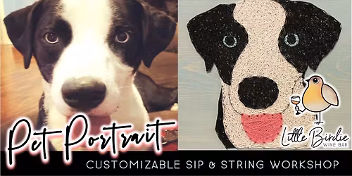 Pet Portrait | Customizable Sip & String Workshop